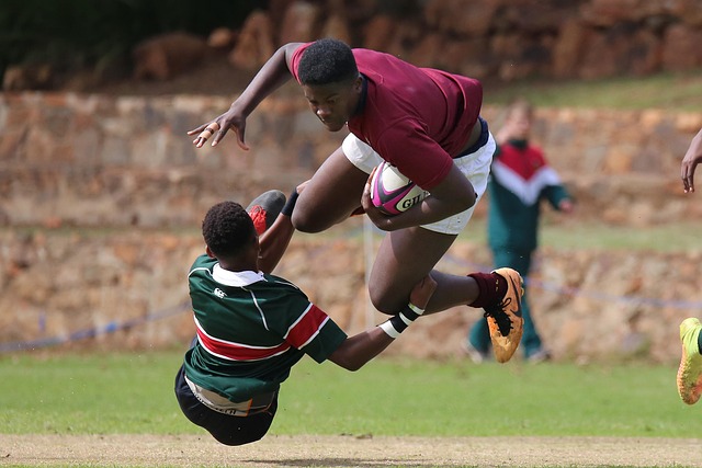 外援的出色 外援的出色